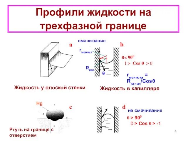 Профили жидкости на трехфазной границе