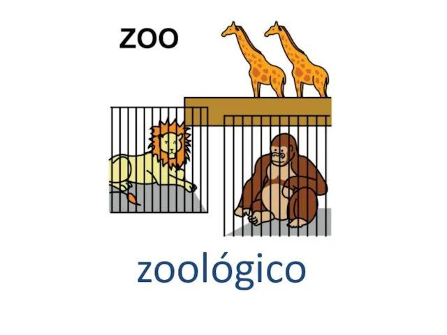 zoológico