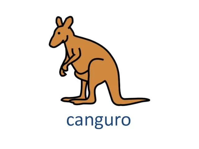 canguro