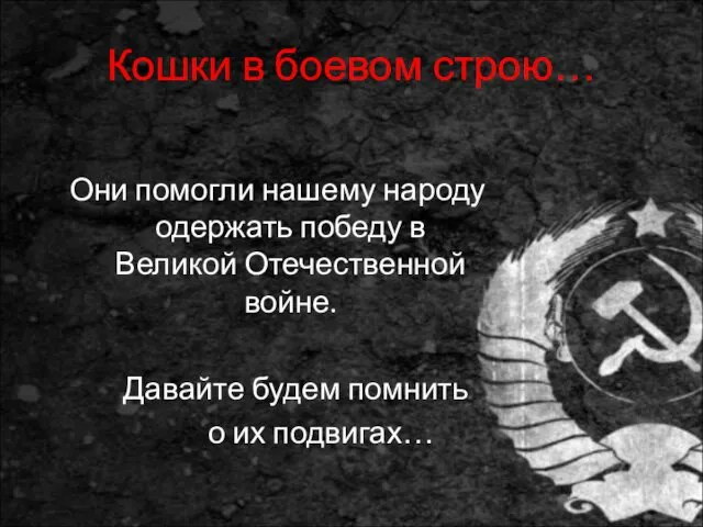 Кошки в боевом строю… Они помогли нашему народу одержать победу