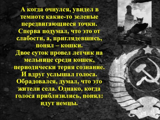 А когда очнулся, увидел в темноте какие-то зеленые передвигающиеся точки.