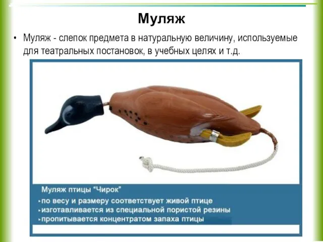 Муляж Муляж - слепок предмета в натуральную величину, используемые для