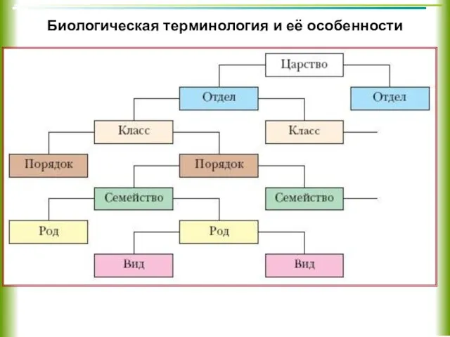 Биологическая терминология и её особенности