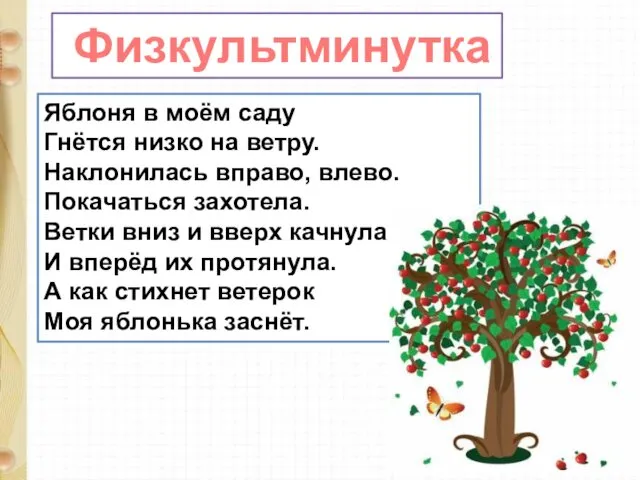 Физкультминутка Яблоня в моём саду Гнётся низко на ветру. Наклонилась