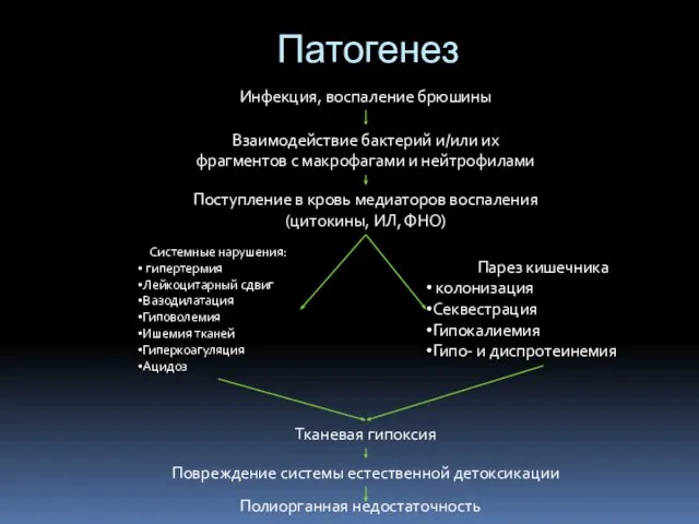 Патогенез Инфекция, воспаление брюшины Взаимодействие бактерий и/или их фрагментов с