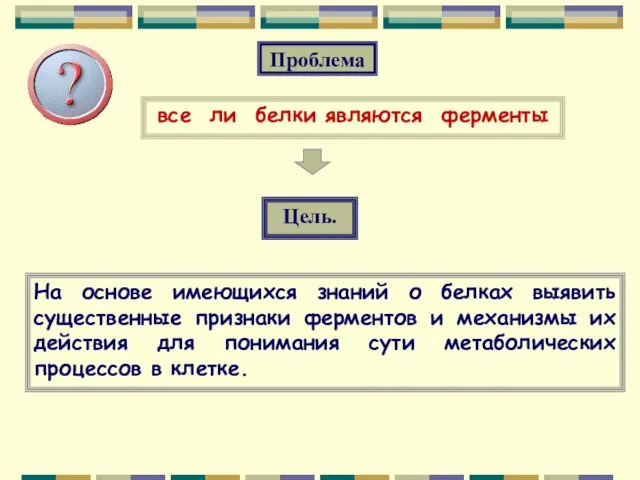 На основе имеющихся знаний о белках выявить существенные признаки ферментов