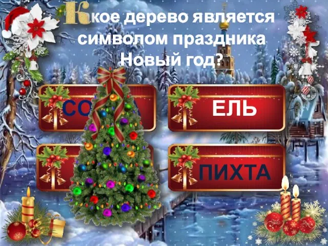 СОСНА ЕЛЬ КЕДР ПИХТА акое дерево является символом праздника Новый год?