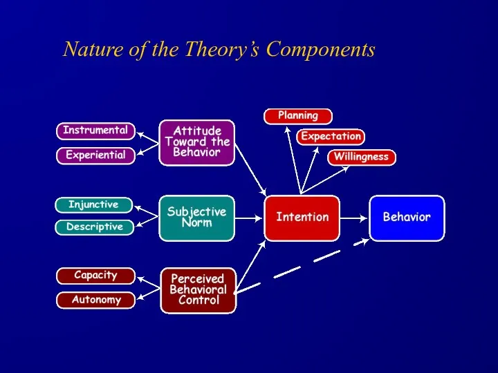 Nature of the Theory’s Components