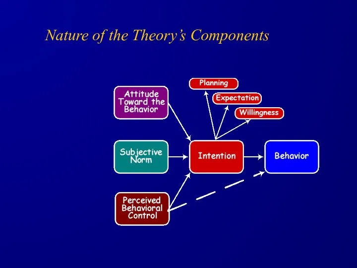 Nature of the Theory’s Components