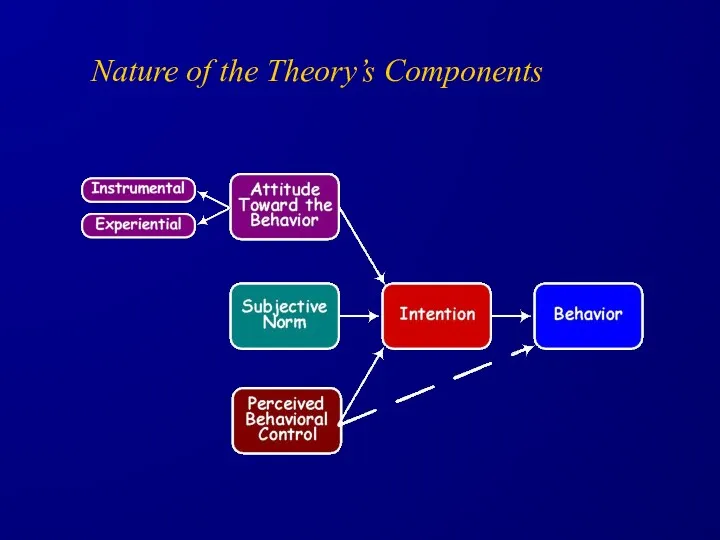 Nature of the Theory’s Components