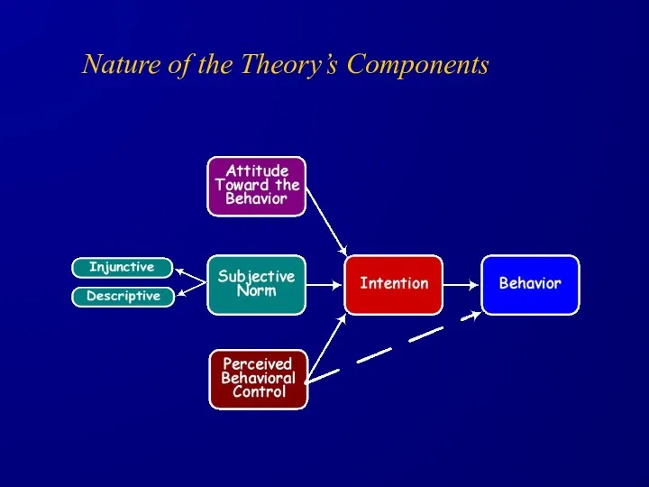 Nature of the Theory’s Components