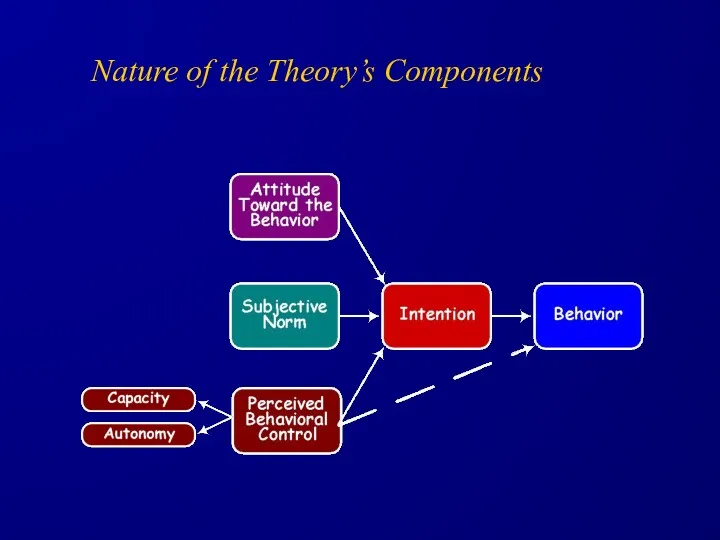 Nature of the Theory’s Components