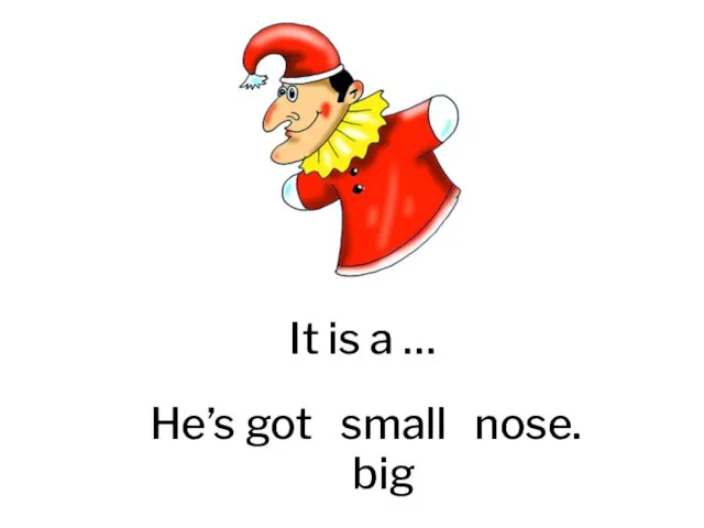 It is a … He’s got small nose. big
