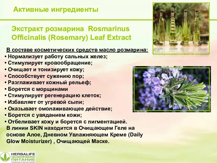 Активные ингредиенты Экстракт розмарина Rosmarinus Officinalis (Rosemary) Leaf Extract В составе косметических средств
