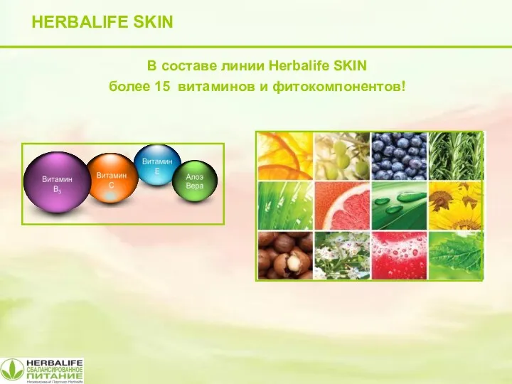 HERBALIFE SKIN В составе линии Herbalife SKIN более 15 витаминов и фитокомпонентов!