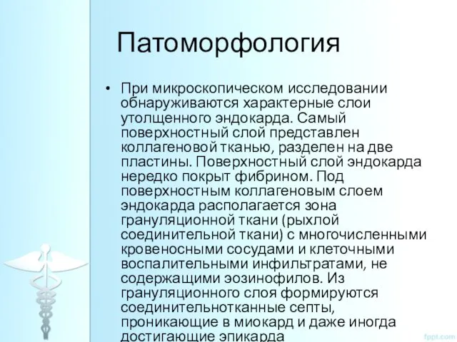 Патоморфология При микроскопическом исследовании обнаруживаются характерные слои утолщенного эндокарда. Самый