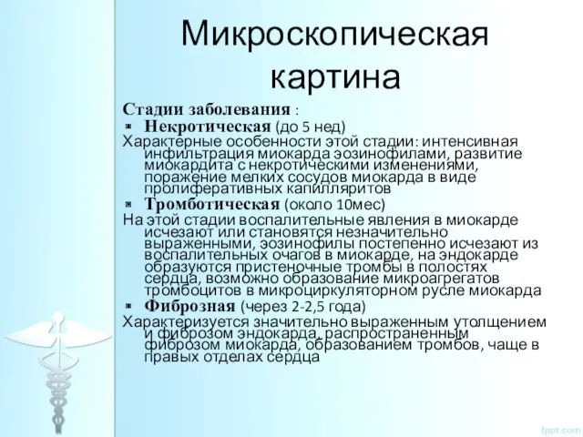 Микроскопическая картина Стадии заболевания : Некротическая (до 5 нед) Характерные