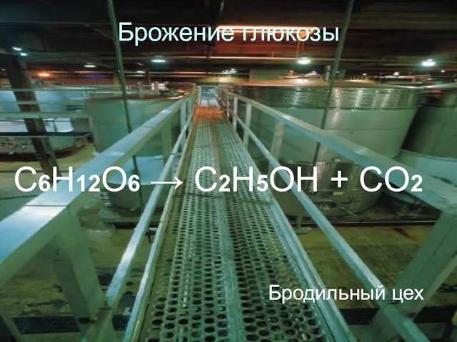 Брожение глюкозы Бродильный цех C6H12O6 → C2H5OH + CO2