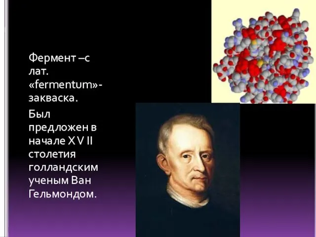 Фермент –с лат. «fermentum»-закваска. Был предложен в начале X V II столетия голландским ученым Ван Гельмондом.