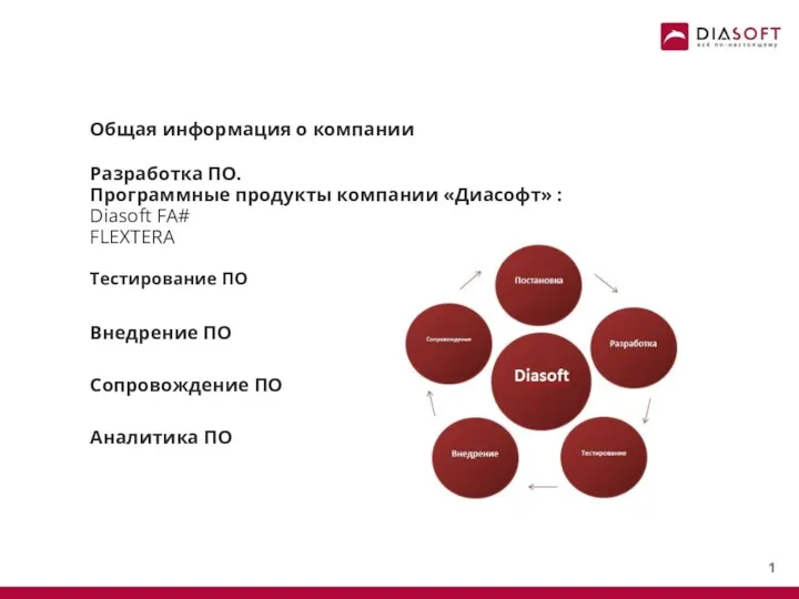 Общая информация о компании Разработка ПО. Программные продукты компании «Диасофт»