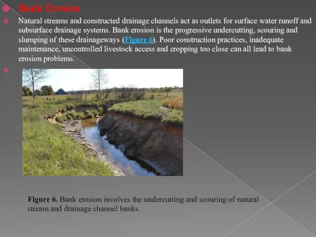 Bank Erosion Natural streams and constructed drainage channels act as outlets for surface