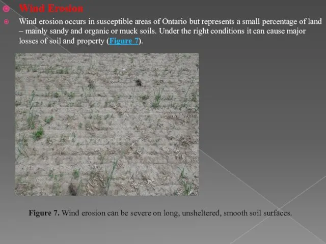 Wind Erosion Wind erosion occurs in susceptible areas of Ontario but represents a