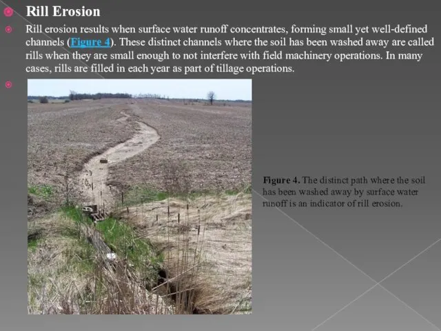 Rill Erosion Rill erosion results when surface water runoff concentrates, forming small yet
