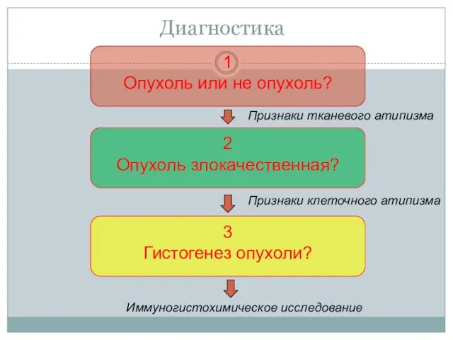 Диагностический алгоритм: 1 Опухоль или не опухоль? 2 Опухоль злокачественная?