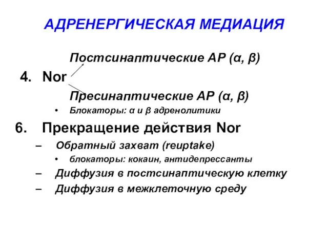 АДРЕНЕРГИЧЕСКАЯ МЕДИАЦИЯ Постсинаптические АР (α, β) 4. Nor Пресинаптические АР (α, β) Блокаторы: