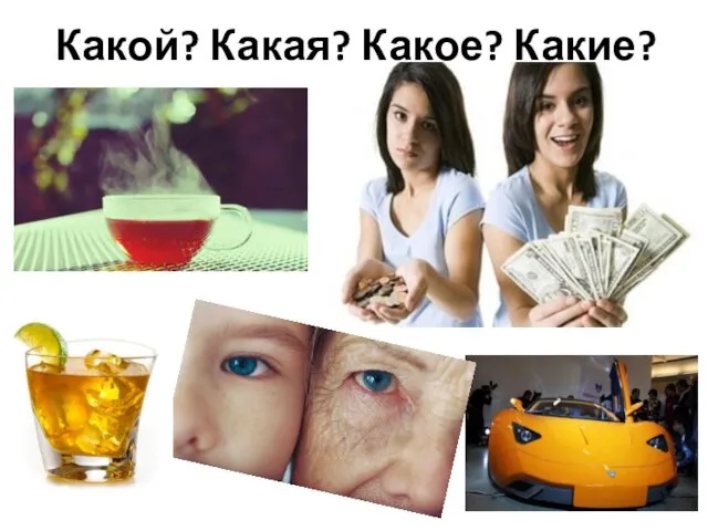 Какой? Какая? Какое? Какие?