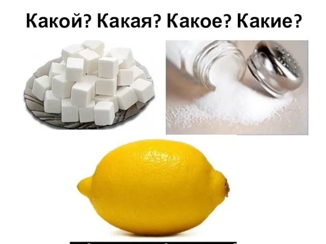 Какой? Какая? Какое? Какие?