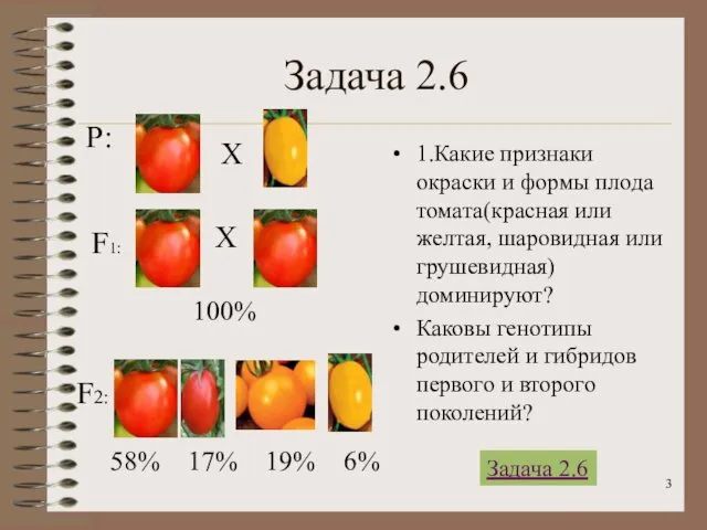 Задача 2.6 1.Какие признаки окраски и формы плода томата(красная или