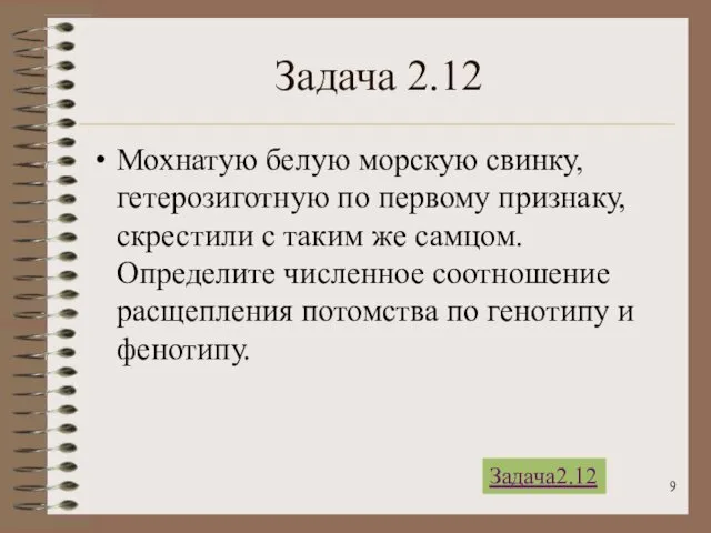 Задача 2.12 Мохнатую белую морскую свинку, гетерозиготную по первому признаку,