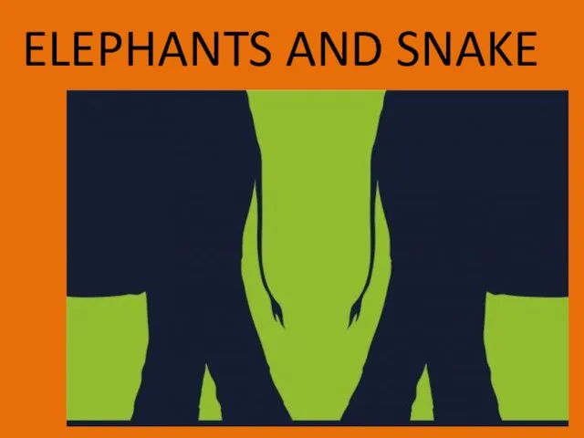 ELEPHANTS AND SNAKE