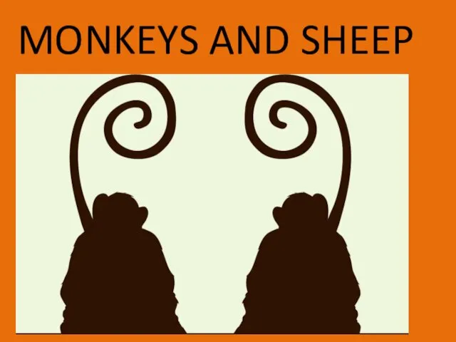 MONKEYS AND SHEEP