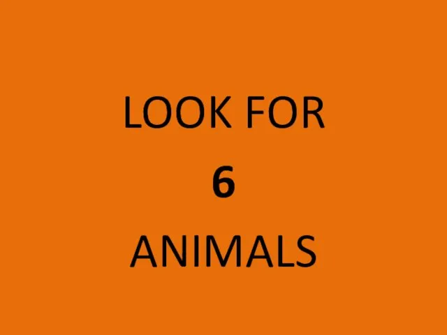 LOOK FOR 6 ANIMALS