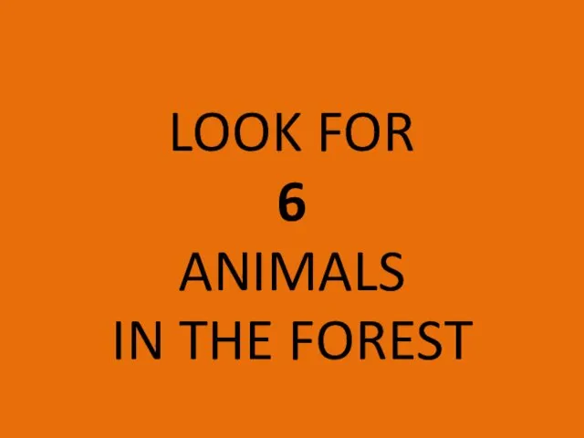 LOOK FOR 6 ANIMALS IN THE FOREST