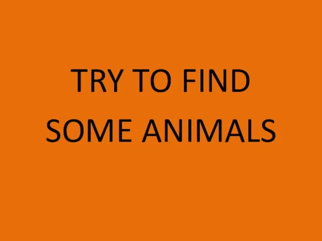 TRY TO FIND SOME ANIMALS