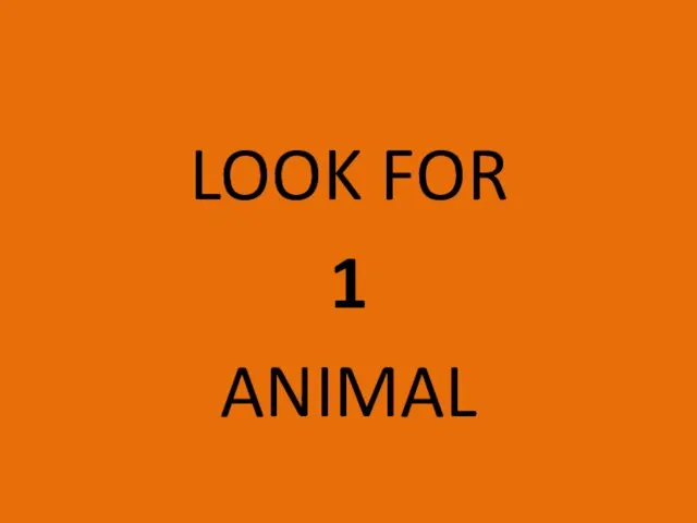 LOOK FOR 1 ANIMAL