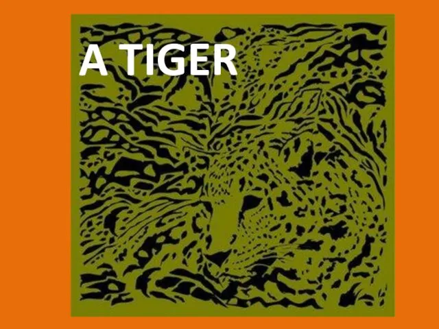 A TIGER