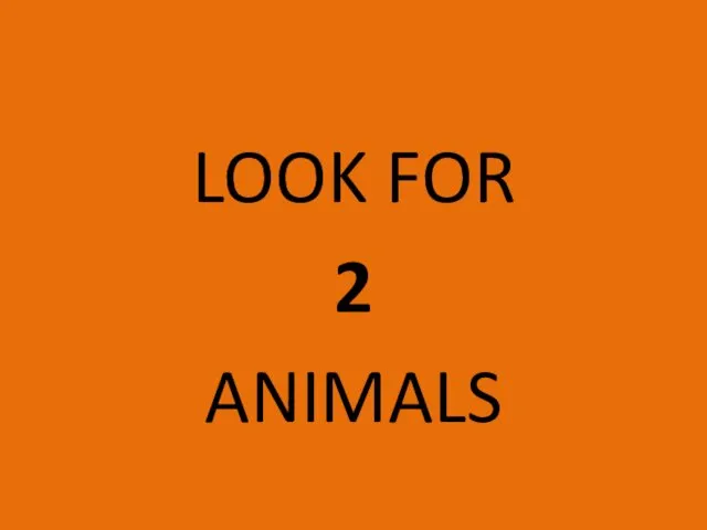 LOOK FOR 2 ANIMALS