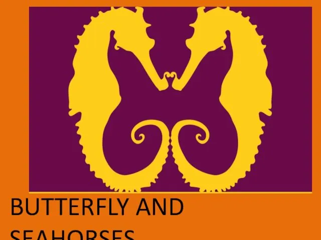 BUTTERFLY AND SEAHORSES