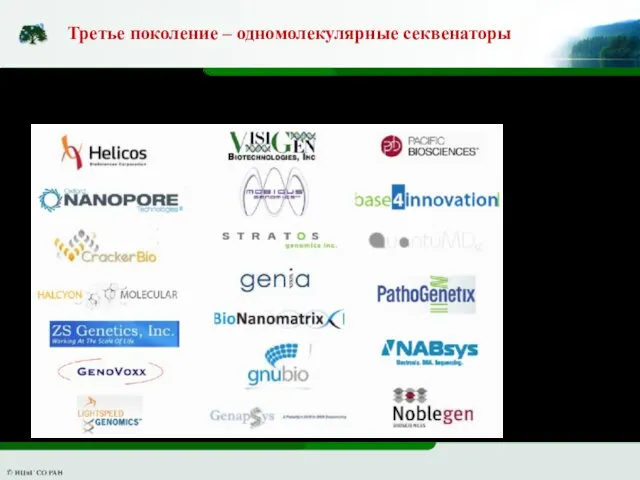 Третье поколение – одномолекулярные секвенаторы Имя им - легион