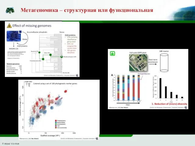 Метагеномика – структурная или функциональная