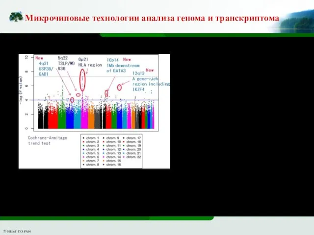 Микрочиповые технологии анализа генома и транскриптома