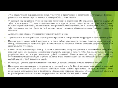 Зубы обеспечивают пережевывание пищи, участвуют в артикуляции и выполняют эстетическую