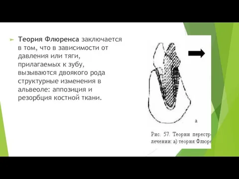 Теория Флюренса заключается в том, что в зависимости от давления