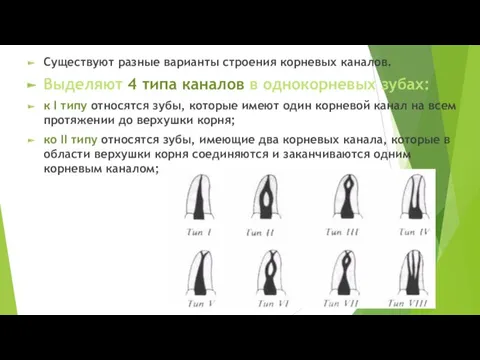 Существуют разные варианты строения корневых каналов. Выделяют 4 типа каналов