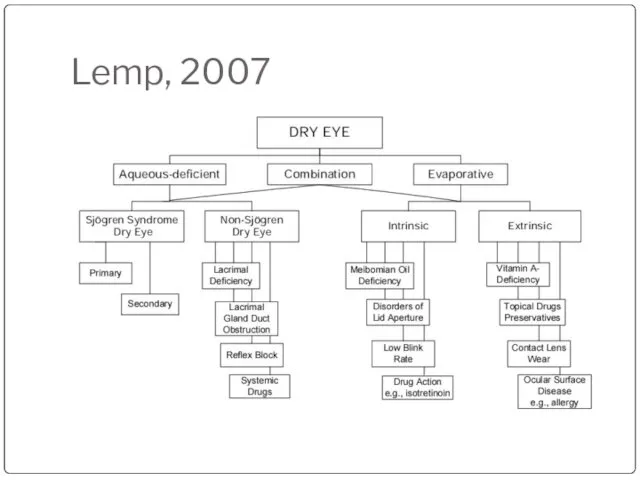 Lemp, 2007