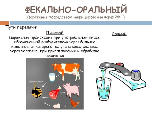 ФЕКАЛЬНО-ОРАЛЬНЫЙ (заражение посредством инфицирования через ЖКТ) Пути передачи: Водный Пищевой